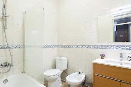 a bathroom with a toilet and a shower and a sink at Lisbon Charming Apartment in Lisbon