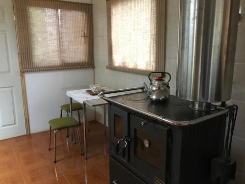 Kuchyň nebo kuchyňský kout v ubytování Hostel Isla del Rey