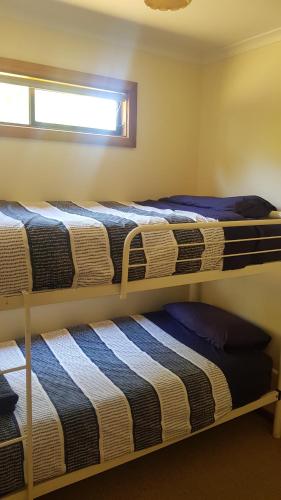 two bunk beds in a room with a window at Parndana Hotel Cabins in Parndana