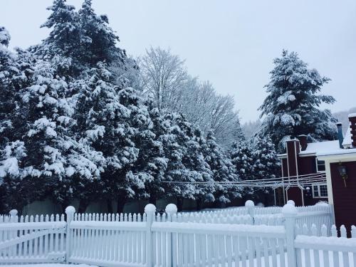 a white fence in front of trees with snow on them at The Nutmeg Vermont in Wilmington