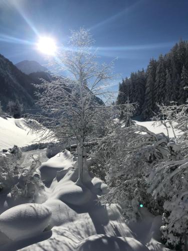 a tree covered in snow with the sun behind it at AlpinDesign Kaunertal in Kaunertal