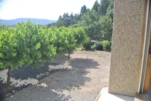 Φυσικό τοπίο κοντά σε αυτός ο ξενώνας
