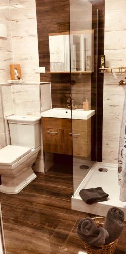 a bathroom with a toilet and a sink and a shower at Designpension Traumschloss Hotel Garni in Wernigerode