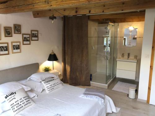 a bedroom with a bed and a glass shower at LaMaisonRouge chambre d'hôtes in Cormondreche