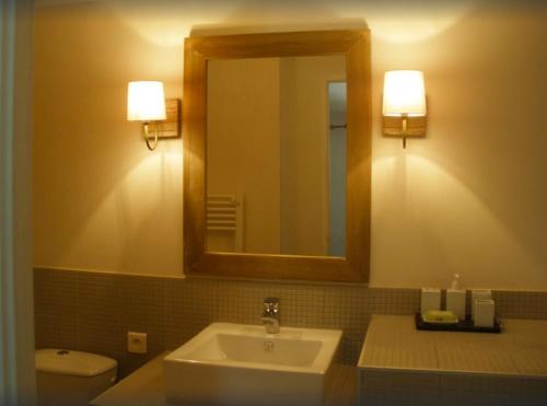 une salle de bain avec un lavabo et un miroir et des toilettes dans l'établissement Le Petit Bastidon - Private pool - Gordes, à Gordes