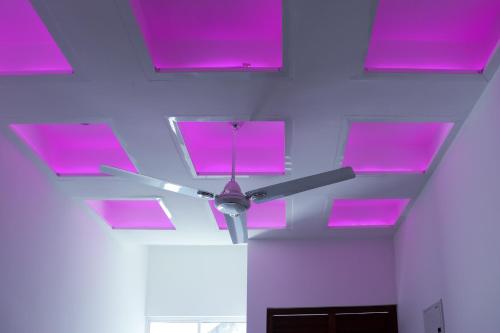 Gallery image of Sakura Calm Rest in Mirissa