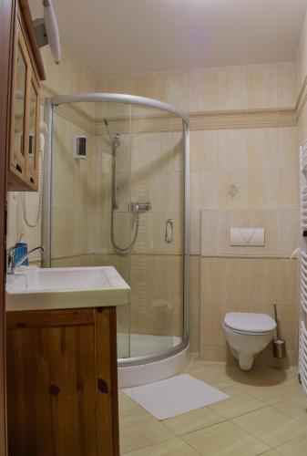 a bathroom with a shower and a sink and a toilet at Hotel La Rosa in Frýdek-Místek