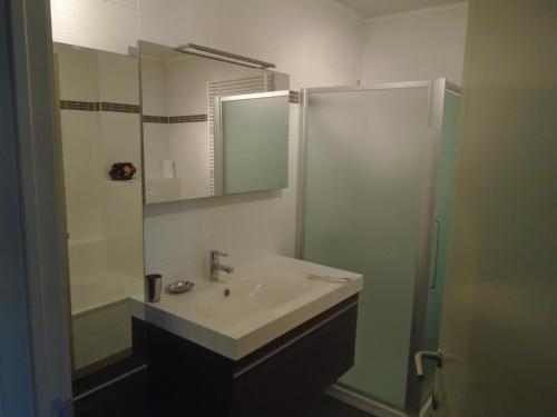 a bathroom with a sink and a shower with a mirror at BLANKENBERGE FLAT in Blankenberge