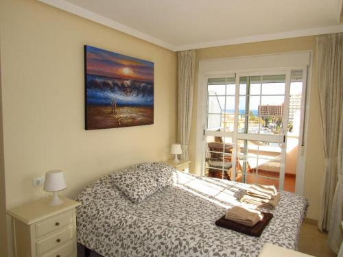 Torreon del Mar Apartment