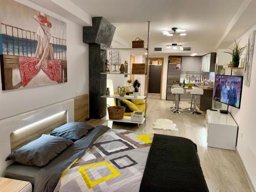 Dream Loft Old city center