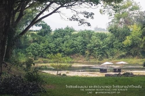 two umbrellas and chairs next to a river at The Harmony Resort in Suan Phung