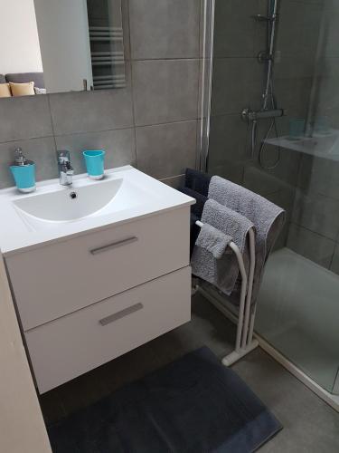 une salle de bain avec un lavabo blanc et une douche dans l'établissement Sci MDM, à Nice