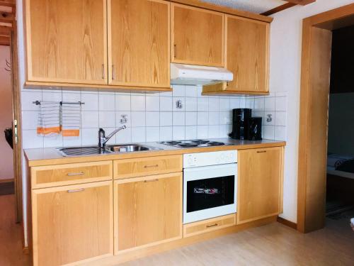 Кухня или мини-кухня в Haus Stabentheiner
