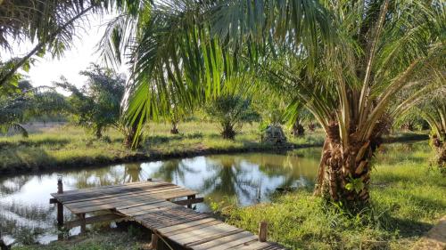 a wooden bridge next to a river with a palm tree at Home No.9 in Ko Lanta