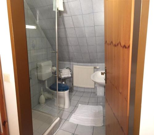 a small bathroom with a toilet and a sink at Ferienwohnungen Kössl in Waidhofen an der Ybbs