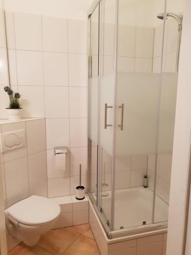 a white bathroom with a shower and a toilet at StayInn "Heart of the City" Suite in Freiburg im Breisgau