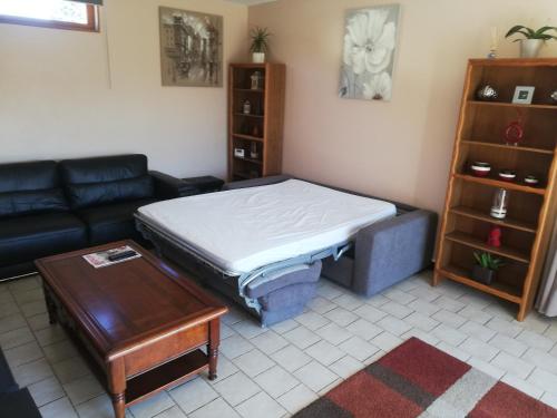 a living room with a bed and a couch at Marielu in Pouilly-sur-Loire