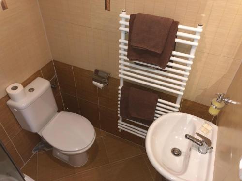 a bathroom with a toilet and a sink at Areal Salas in Kajlovec