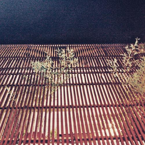 a fence with two trees on top of it at Casa Anna in Ilbono