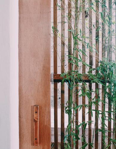 a wooden door with a plant next to it at Casa Anna in Ilbono