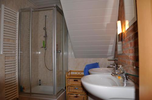 a bathroom with a shower and a sink and a toilet at Ferienwohnung Am Försterteich in Hagenburg
