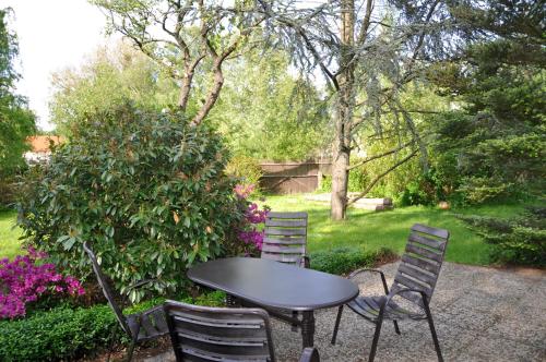 a black table and chairs in a garden at Ferienwohnung Am Försterteich in Hagenburg