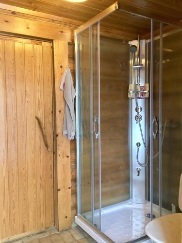 eine Dusche in einem Badezimmer mit Holzwänden in der Unterkunft Villa Luppopirtti in Luosto