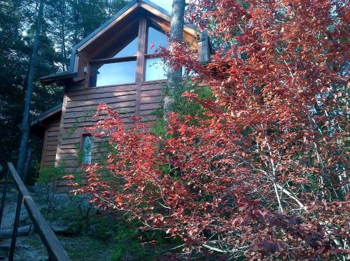 a cabin with a window on the side of a tree at Calen-Hue in San Carlos de Bariloche