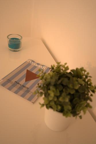 a plant in a white pot on a table at Chalet sul mare in Catanzaro Lido