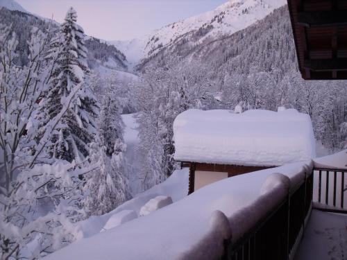 uma varanda coberta de neve com vista para uma montanha em Le nid d'aigle em Arêches