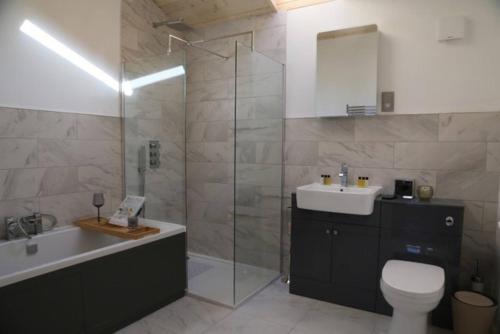 a bathroom with a toilet and a sink and a shower at Honeysuckle in Hadleigh