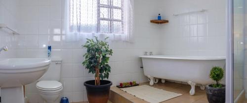 a bathroom with a white tub and a toilet and a plant at Crowned Crane in Gonubie