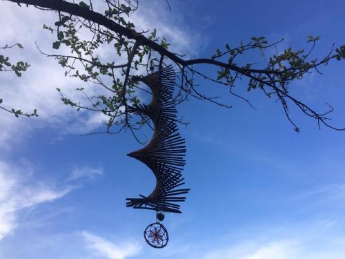 a tree branch with a clock hanging from it at Aconchego e conforto em Joanópolis in Joanópolis