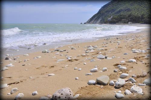 a sandy beach with rocks and the ocean at Rustico del Conero in Camerano