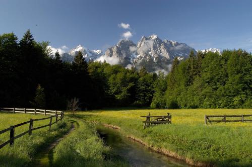 a picnic table in a field with mountains in the background at Boutique Hotel Längenfelder Hof in Grainau