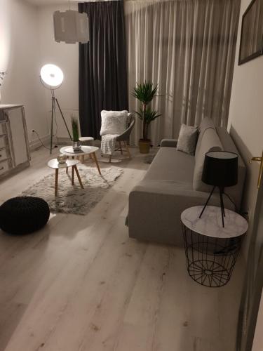 Downtown's pearl 7621 Pécs, Kazinczy utca kép - 3