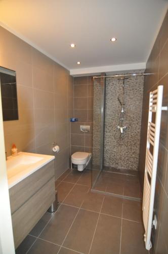 une salle de bain avec une douche, des toilettes et un lavabo dans l'établissement Appartement 1 chambre vue mer au Clos de la Madrague, à Sainte-Maxime