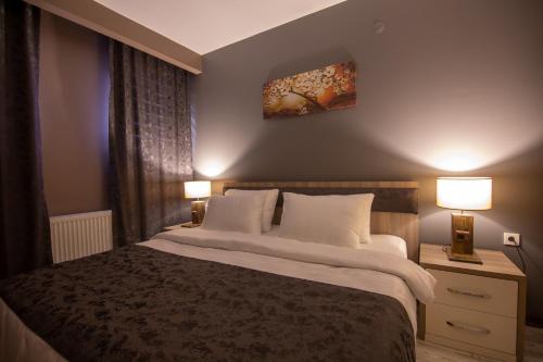 1 dormitorio con 1 cama con 2 lámparas y una pintura en la pared en Staron Otel, en Zonguldak