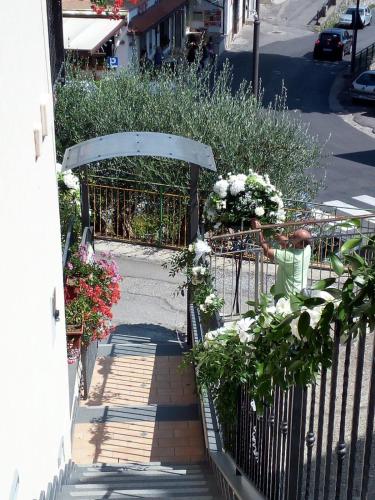 Φωτογραφία από το άλμπουμ του Angolo Fiorito σε Agerola