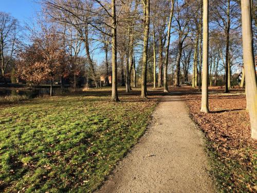 a path in a park with trees and grass at König`s Hotel am Schlosspark in Rheda-Wiedenbrück