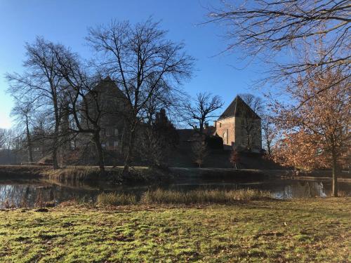 an old castle in a field next to a pond at König`s Hotel am Schlosspark in Rheda-Wiedenbrück