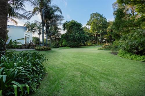 a large yard with green grass and palm trees at Tehillah Guest House in George