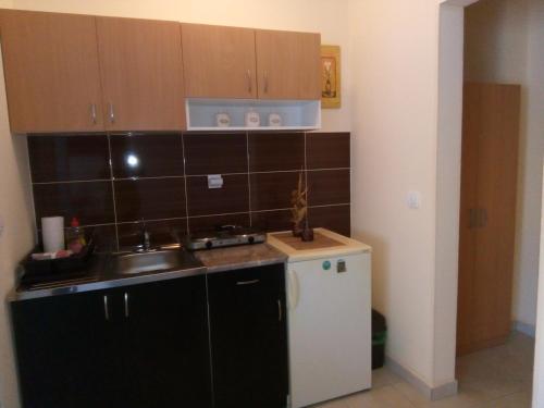 a small kitchen with a sink and a refrigerator at Apartment Vila MM Srce in Vrdnik