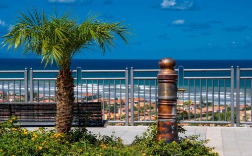 a palm tree next to a bench next to the ocean at IN CENTRO ROOMS Vicino Cefalù SELF-CHEK-IN in Campofelice di Roccella