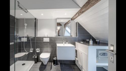 a bathroom with a toilet and a sink at Luxury Penthouse Apartment in Zürich