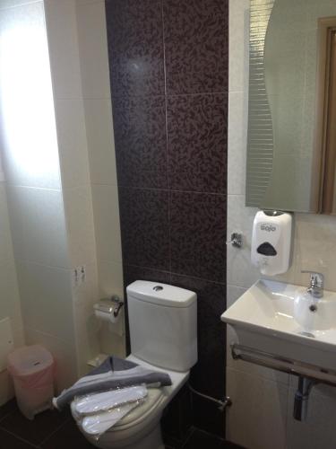 a bathroom with a toilet and a sink and a mirror at Catherine Hotel in Kos Town