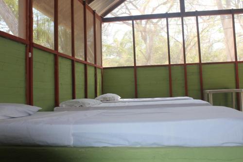 two beds in a room with a large window at Eco Hotel Las Palmeras in Isla Grande