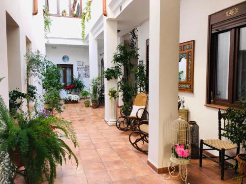 a hallway filled with lots of plants at Casa Turística San Agustín in Córdoba