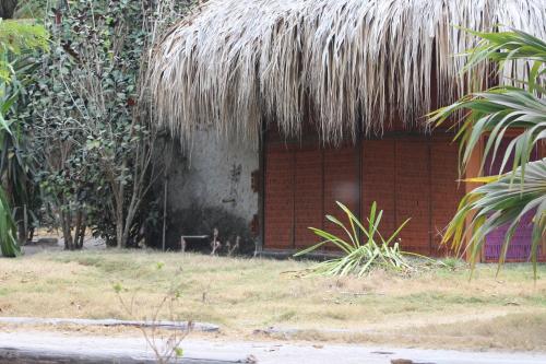 a building with a thatched roof with a dog in front at Eco Hotel Las Palmeras in Isla Grande
