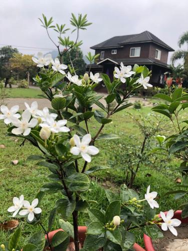 Jardín al aire libre en Yiyue Guanhe Homestay 倚月觀荷民宿